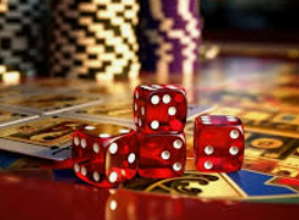 壹号平台app免费版